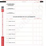 Acta de Escrutinio - Prefect@ - P1