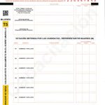 Acta de Escrutinio - Consejeras CPCCS - T5