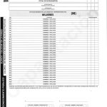 Acta de Escrutinio - Consejeras CPCCS - Conocimiento Público